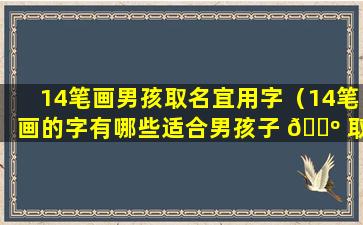 14笔画男孩取名宜用字（14笔画的字有哪些适合男孩子 🐺 取名）